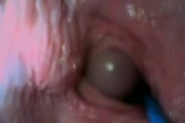 اصغر واجمل كس في العالم